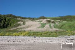 Niarbyl Bay