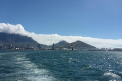 P1000100