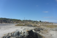P1000106
