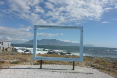 P1000110