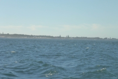 P1000121