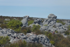 P1000127